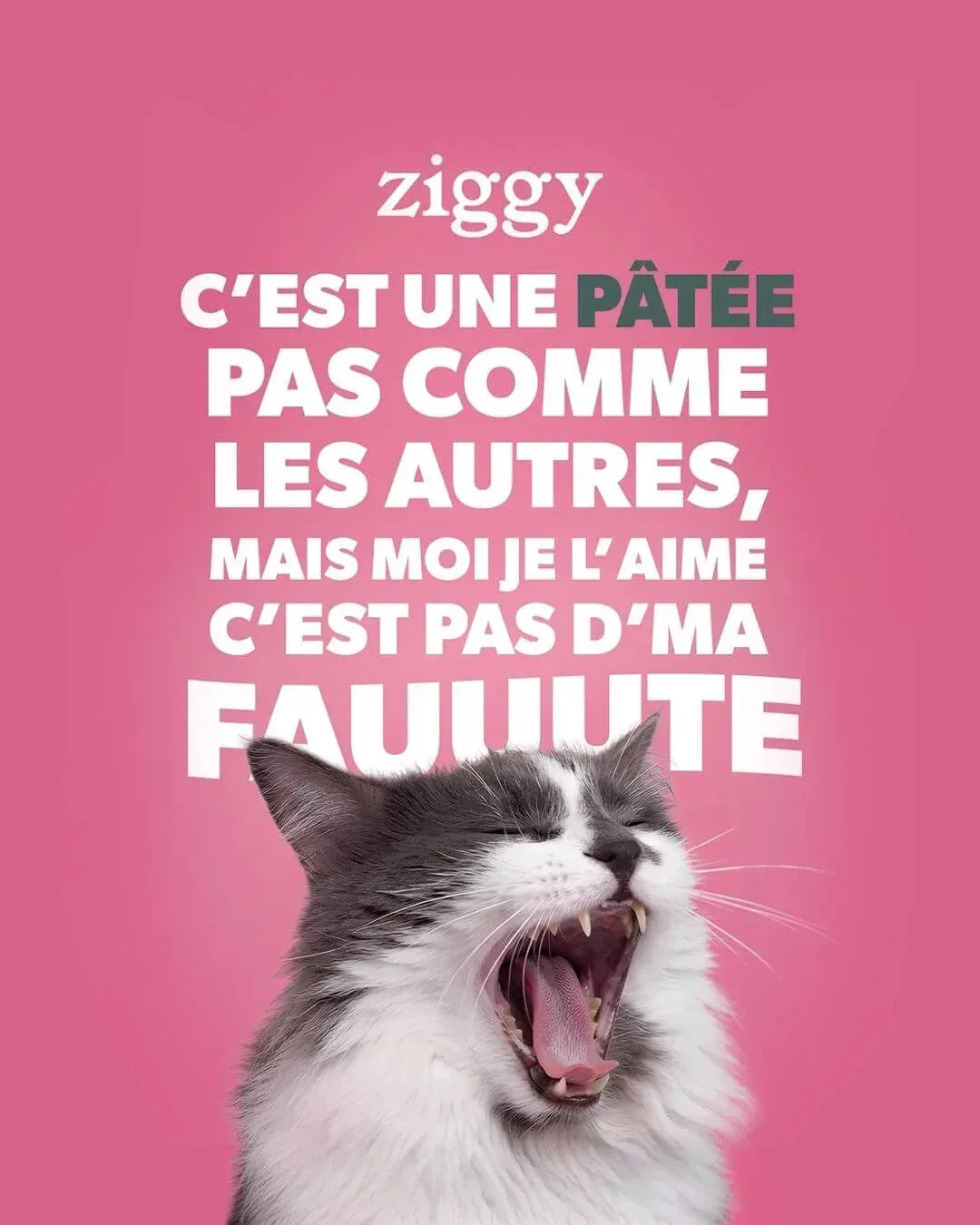 Campagne Ziggy Céline Dion